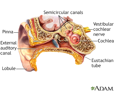 Ear Equalizing Aide